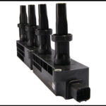 کوئل رانا چکاد