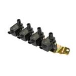 کوئل شاهین (تکی) چکاد